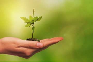 Corso di formazione Guardie Ecologiche Volontarie della Citt&#224; Metropolitana di Torino sessione 2024