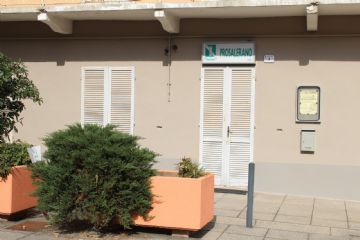 Sfoglia la galleria